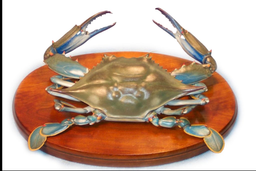 Blue Crab